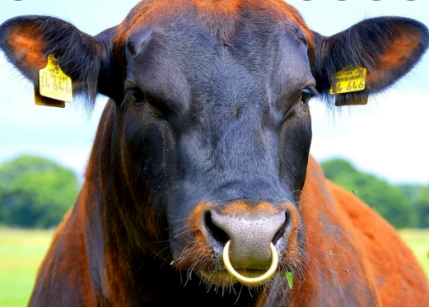 Screen Shot 2022-02-12 at 09.13.46